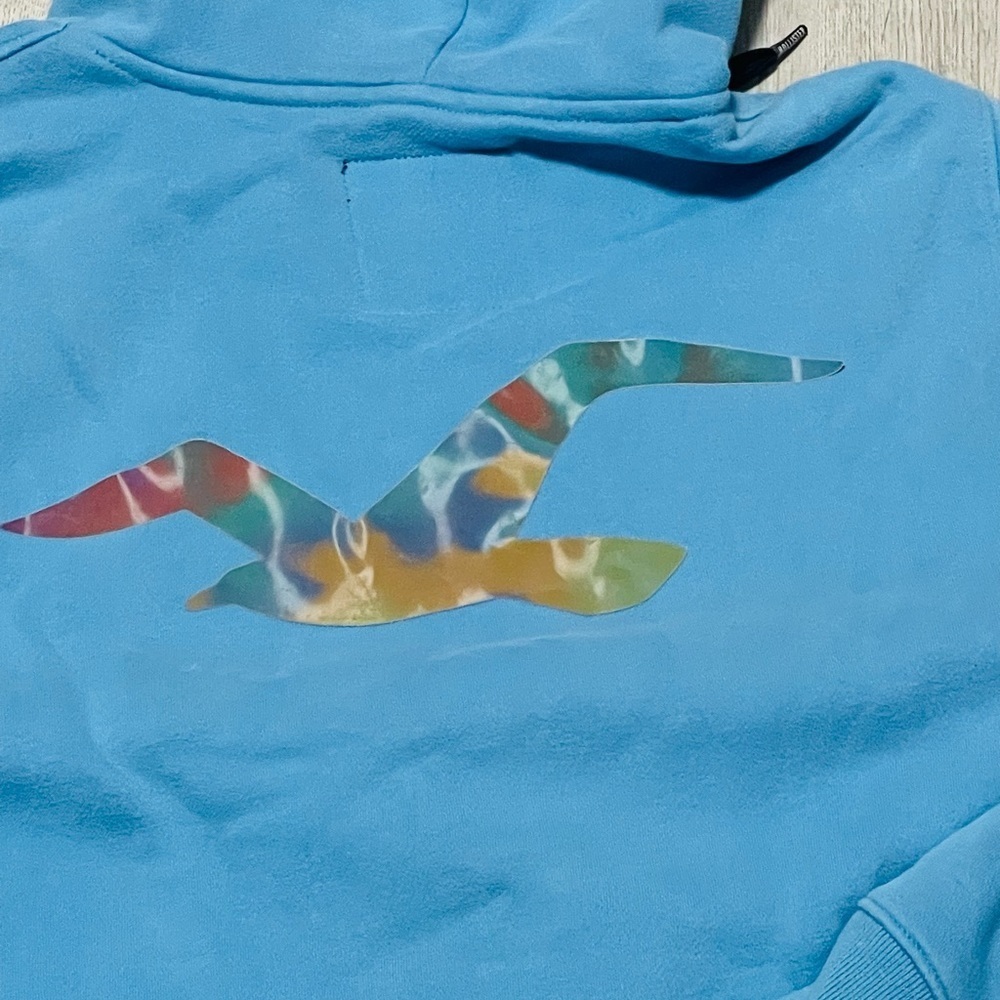 Hollister Hoodie with hologram logo Sz Medium - Picture 8 of 10